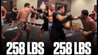 Thick Alex Pereira Would Smash Someone