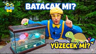🐢 Bilim ve Dikkat Deneyi: Su Deneyi ile Tahmin Oyunu | Tahmin Et ve Odaklan! | 3-6 Yaş screenshot 5