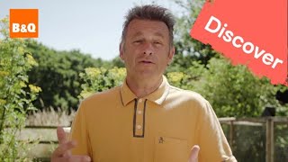 Big Butterfly Count 2020 – Q&A with Chris Packham