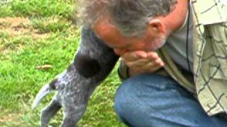 DSCF1401.AVI