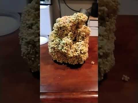 why