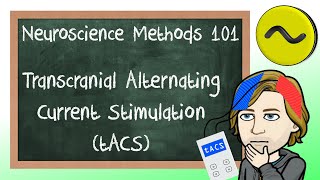 Transcranial Alternating Current Stimulation (tACS) Explained! | Neuroscience Methods 101