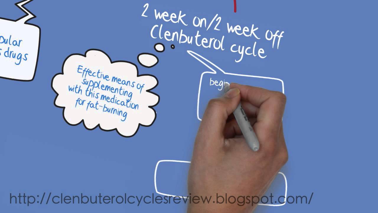 Clenbuterol cycle for beginners