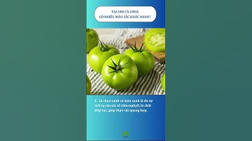 Cà chua có nhiều màu sắc khác nhau là do đâu?