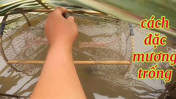 Chia Sẽ Cách Thai Hôm Lờ Hư Cách Đặc Mương Trống/ Định Nguyễn Hậu Giang/