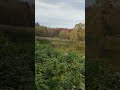 I like to just sit and watch#real #nature #reallife