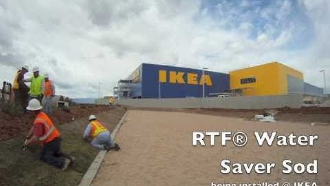 RTF® Water Saver Sod Time Lapse