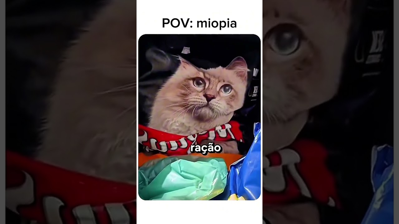 SÓ QUEM TEM MIOPIA 🤣🤪🤣