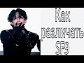 Учим группу SF9 / Как различать SF9 / Знакомство с SF9