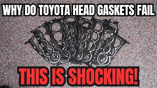 Why Do Toyota Head Gaskets Fail? This is SHOCKING 2004 Lexus Rx330 Valve Cover Gasket Replacement Cost