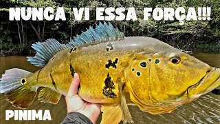 TUCUNARÉ COM 1000HP NAS COSTAS! 🤣🤣 MATERIAIS DA ALIEN FISHING APROVADOS!!! @alien_fishing_oficial by ALIEN FISHING 191 views 6 months ago 11 minutes, 3 seconds