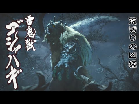 【モンスターハンターライズ_MHRise】村クエ　ゴシャハギ討伐