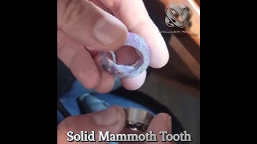 solid wooly mammoth tooth ring