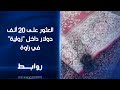 صاحب مغسلة في قضاء راوة بمحافظة الأنبار يعثر على دفترين 20 ألف دولار داخل سجادة أراد أصحابها غسلها صاحب مغسلة في قضاء راوة بمحافظة الأنبار يعثر على دفترين 20 ألف دولار داخل سجادة أراد أصحابها غسلها