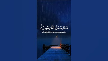 #ياسر_الدوسري #اكسبلور #yasseraldossary #راحة_نفسية #المصحف #تلاوات #قران_كريم