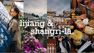 Part 22 Yunnan 2025 Mini Vlog Lijiang And Shangri-La