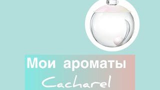 :   Cacharel