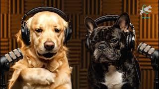 Why dogs love sleeping with their human explained