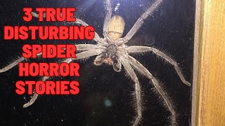 3 TRUE Disturbing Spider Horror Stories (Campfire Sounds)