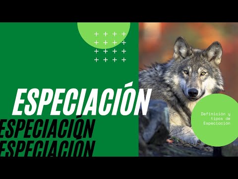 Video: ¿Cuáles son los 3 tipos de especiación?