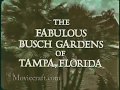 Busch Gardens Tour, Tampa Florida 1967