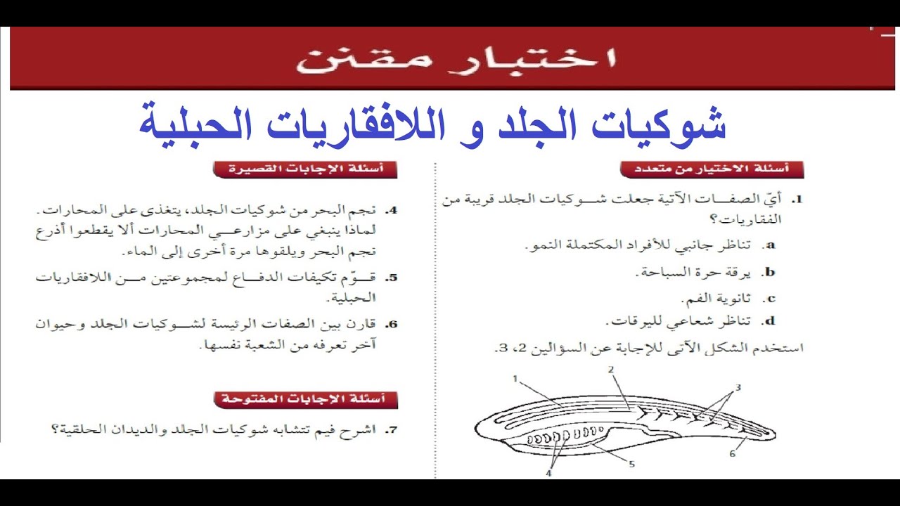 حل الاختبار المقنن باب ( شوكيات الجلد و اللافقاريات الحبلية )