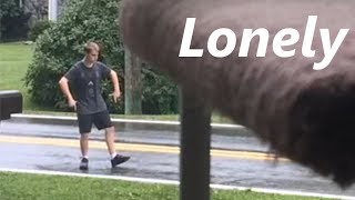 Mr. Lonely