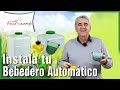 Bebedero Automático para gallinas y otras mascotas: Cómo instalarlo