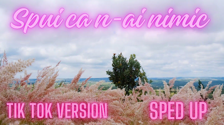 Serena X Luis Gabriel - Spui Ca N-ai Nimic TikTok Version SpedUp Remix RR