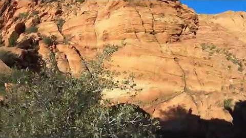 2 GoPro 7 Black Timewarp Unedited Trail Running Handheld Test 4k