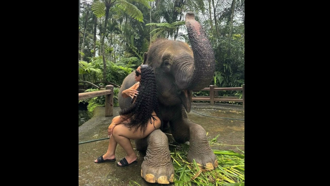 FREE | Eddy Rivers x Bay Swag Type Beat 2025 “Trail In Summer” 