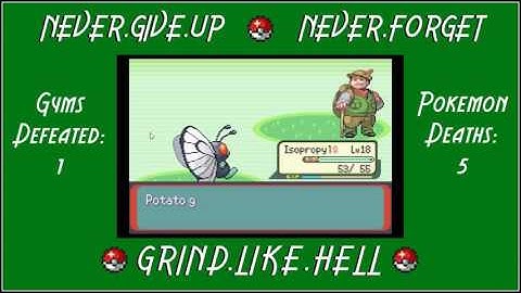 Nuzlocke VS Mode: Pokemon Emerald Randomized (Part 3, Full Session)