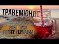 Немецкие пляжи - выбрались на море во время карантина - влог - travemünde