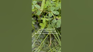 سورة الفلق القارئ اسلام صبحي