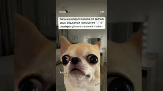 Whatsapp Ucun Maraqli, Mənali Statuslar ,Status Ucun Sevgi Videolari, Qəmli̇ Whatsapp Statuslari 2025