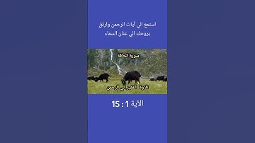 ‏#سورة_الحاقة_أية15:1_بصوت_الفقير_الي_الرحمن