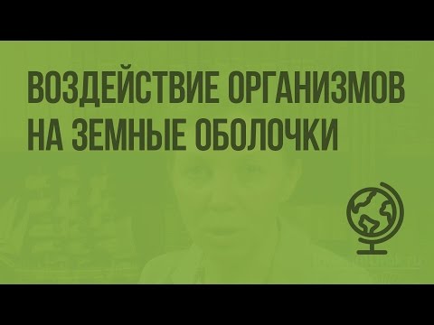 Воздействие организмов на земные оболочки. Видеоурок по географии 6 класс