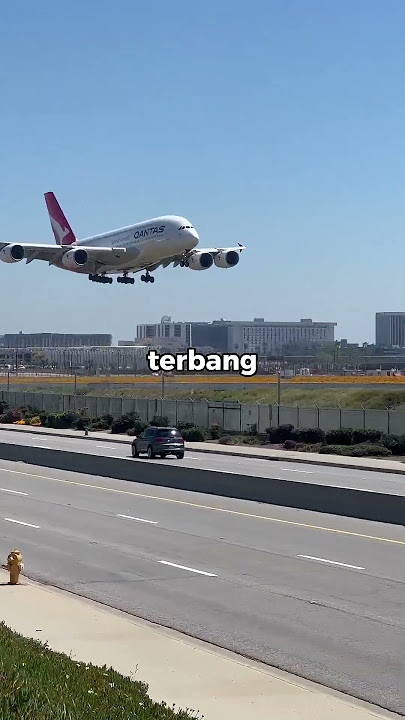 Kenapa Jendela Pesawat Lonjong  #aviation #faktaunik #fakta