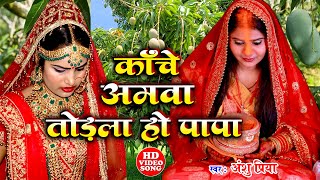 काँचे अमवा तोड़ला हो पापा || Kanche Amwa Todla Ho Papa || Anshu Priya Pawan Babu Shadi Vivah Geet