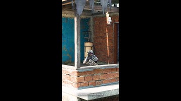 The new Drill Charge is the perfect anti-camping equipment 🏕️