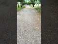 Ш Щ Ш Ш Щ ЩЉЩ Щ ШєЩЉШ Ш Щ Ш Щ Шірџ ЏрџЏѕвќ пёЏ Ш Щ Ш Ш Щ ЩЉЩ Щ ШєЩЉШ Ш Щ Ш Щ Шірџ ЏрџЏѕвќ пёЏ