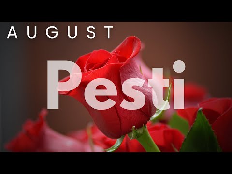 PESTI AUGUST 2022• O RELATIE FOARTE COMPLICATA,dar este sigura #PESTI#TAROTHOROSCOP#ZODIAC