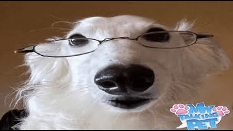 Rime Rusturned Montage CKC