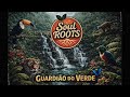 Soul Roots - GUARDIÃO DO VERDE #reggae #reggaemusic