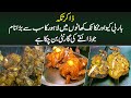 Zakir Tikka - BBQ Aur Taka Tak Khano Me Lahore Ka Sab Se Bara Naam Jo Zaiqay Ki Guarantee Hai