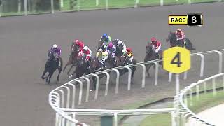 Vidéo de la course PMU PRIX COURSE 08