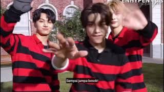 ENHYPEN || MV 'Thamed Dashed' || Sub INDO