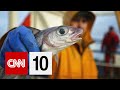 Lego Camper Van and Fishing Industry