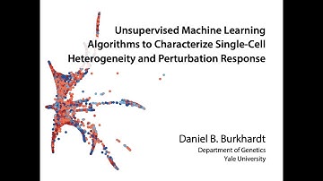 Characterizing Single-Cell Data with Unsupervised Machine Learning