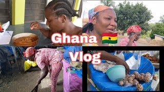 Asante Bekwai Vlog: Unfiltered Village Life of A Serious Student In Ghana